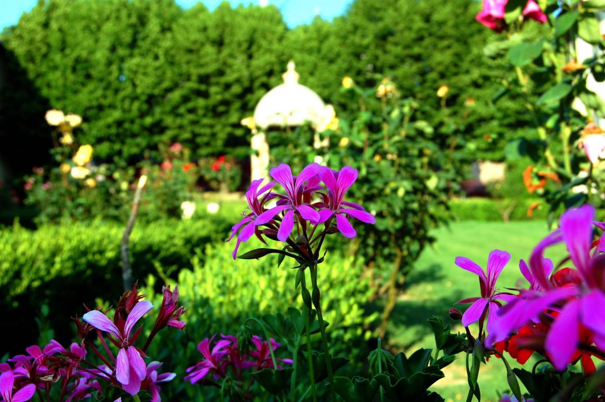Hotel Villa San Donino Citta di Castello Luaran gambar