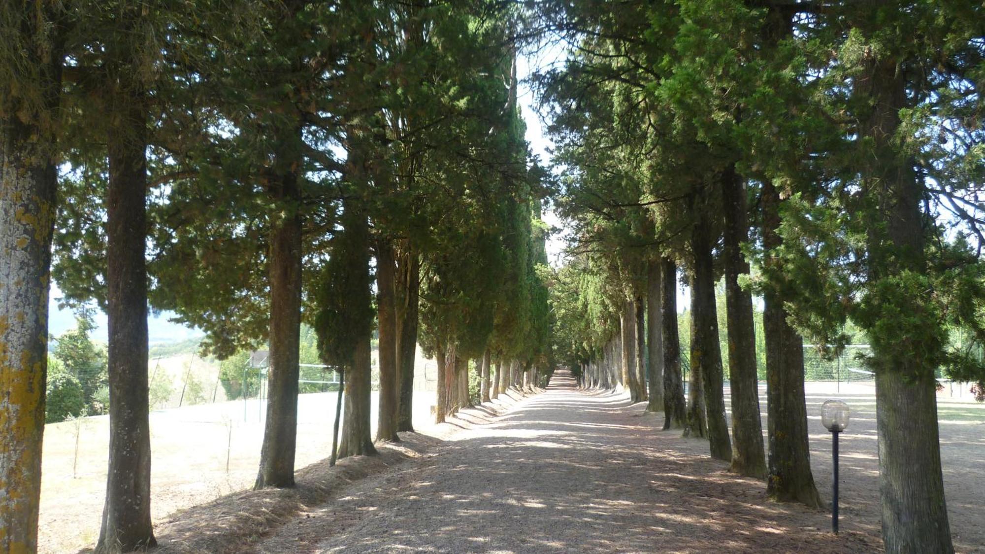 Hotel Villa San Donino Citta di Castello Luaran gambar
